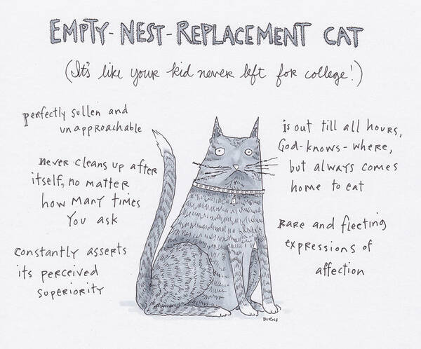 Captionless Art Print featuring the drawing Empty Nest Replacement Cat by Teresa Burns Parkhurst