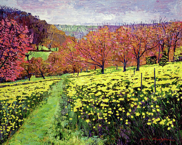 Impressionist Art Print featuring the painting Fields of Golden Daffodils by David Lloyd Glover