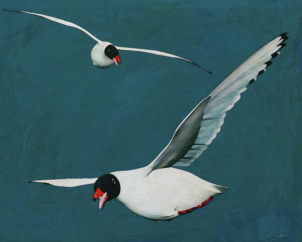 Animal Art Print featuring the digital art Floating seagulls by Jan Keteleer