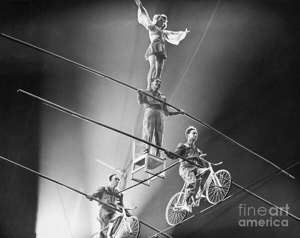 Mid Adult Women Art Print featuring the photograph Flying Wallendas Performing High Wire by Bettmann