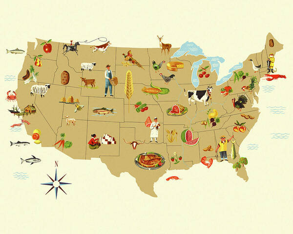 America Art Print featuring the drawing Food Sources Across the USA by CSA Images