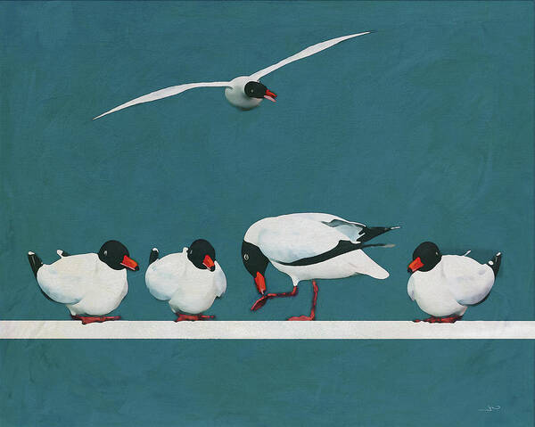 Animal Art Print featuring the digital art Four Seagulls at rest and one flying by Jan Keteleer