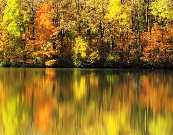 Lakes Art Print featuring the photograph Frog Hollow Lake Reflections by Lori Frisch