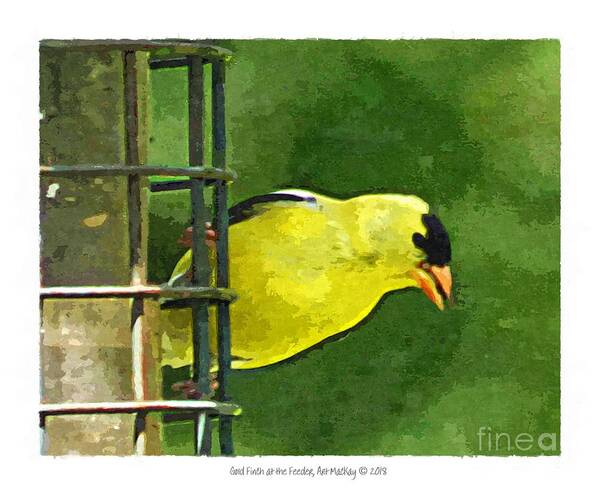 Birds Art Print featuring the digital art Goldfinch at the Feeder by Art MacKay