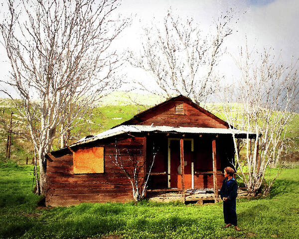 Cabin Art Print featuring the photograph Gramp's Old Place by Timothy Bulone