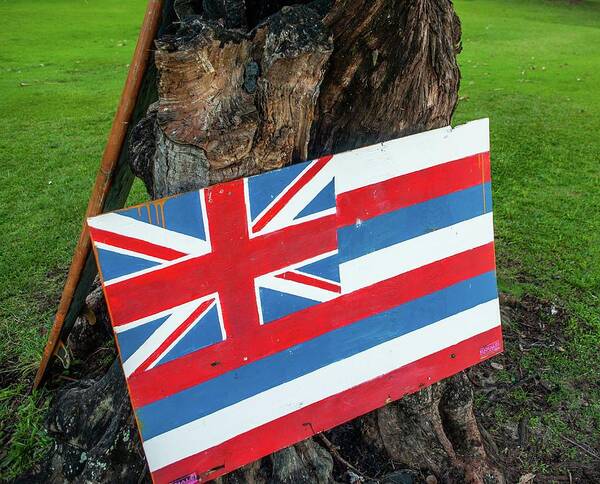 Kauai Art Print featuring the photograph HI State Flag by Doug Davidson