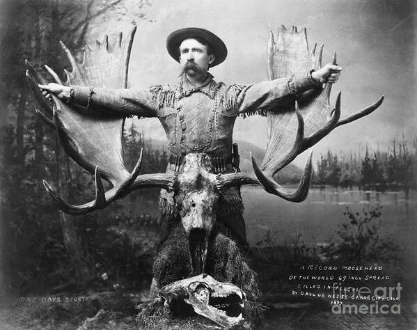 People Art Print featuring the photograph Hunter With Record Moose Antlers by Bettmann