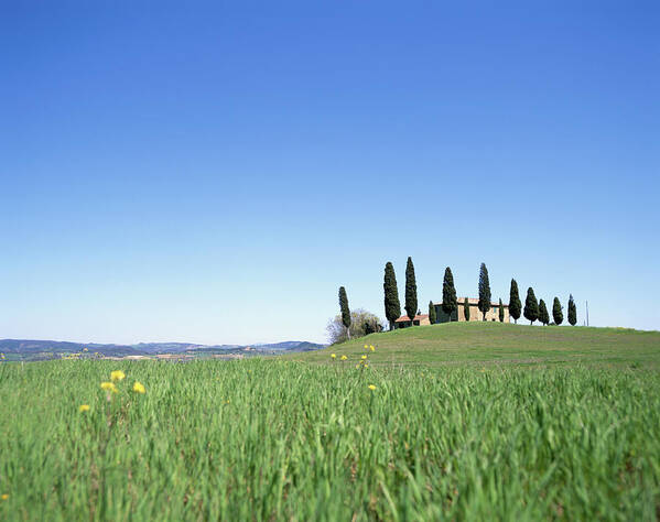 Scenics Art Print featuring the photograph Italy, Tuscany, Farmhouse Surrounded By by Hiroshi Higuchi