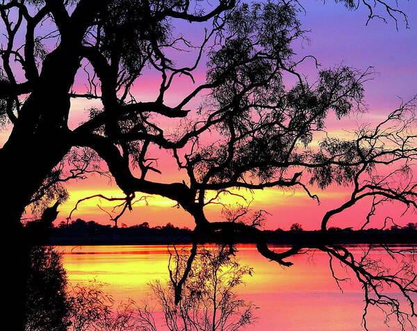 Lake Art Print featuring the photograph Lake Bonney Sunset by Elizabeth Anne