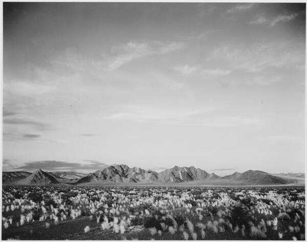 California Art Print featuring the photograph Near Death Valley National Monument by Buyenlarge