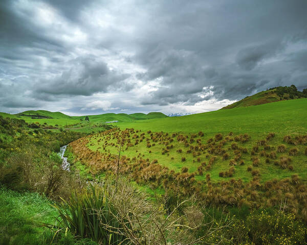 New Zealand Art Print featuring the photograph New Zealand Countryside by Nisah Cheatham