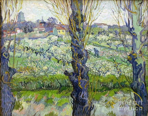 Oil Painting Art Print featuring the drawing Orchard In Blossom With View Of Arles by Heritage Images