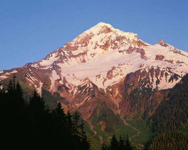 Agua Art Print featuring the photograph Oregon Mount Hood National Forest by John Barger