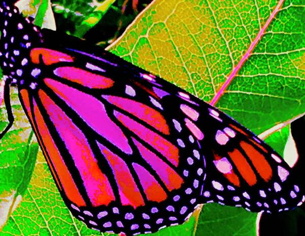 Green Art Print featuring the photograph Painted Monarch by Debra Grace Addison