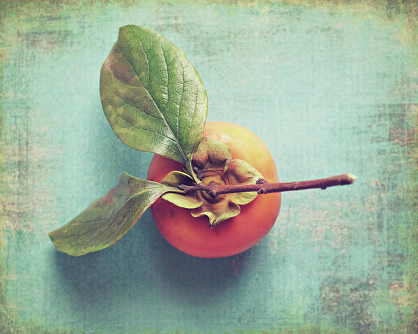 Persimmon Art Print featuring the photograph Persimmon on Blue by Lupen Grainne