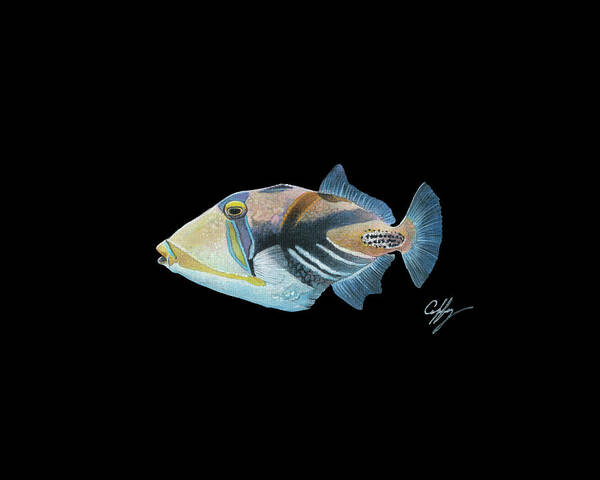 Fish Art Print featuring the painting Picasso Trigger by Durwood Coffey