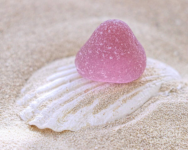 Sea Glass Art Print featuring the photograph Pink gumdrop sea glass by Janice Drew