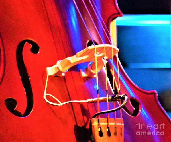 Musical Instrument Art Print featuring the photograph Play me some Music by Merle Grenz