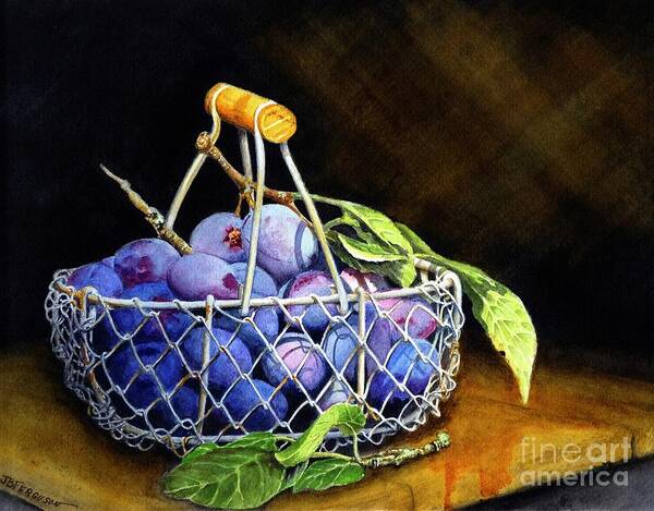 Plums Art Print featuring the painting Plums by Jeanette Ferguson