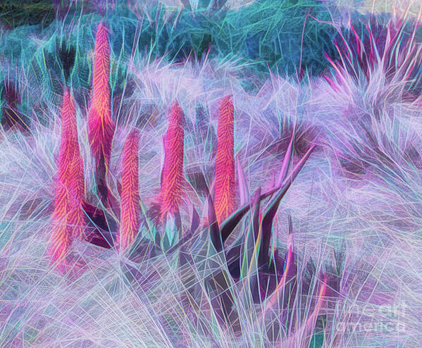 Art Art Print featuring the photograph Poker Plants in Pinks and Blues by Roslyn Wilkins