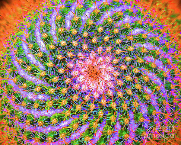 Cactus Art Print featuring the photograph Psychedelic by Tiffany Whisler
