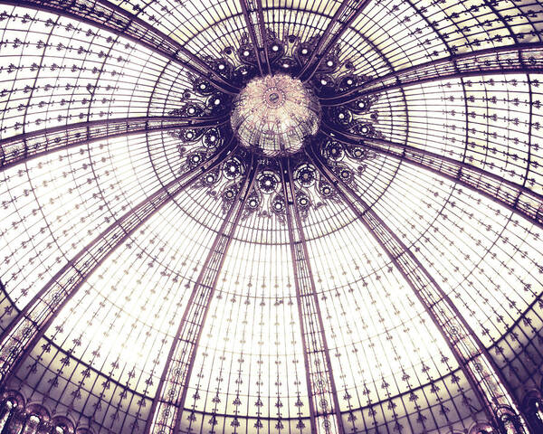 Architecture Art Print featuring the photograph Sea Urchin Ceiling by Lupen Grainne