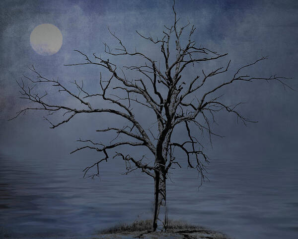 Tree Art Print featuring the photograph Spooky Snag by Cathy Kovarik