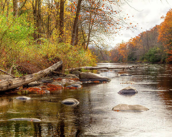 Farmington River Art Print featuring the photograph Spring Hole #2 by Tom Cameron