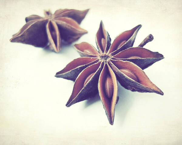 Food Photography Art Print featuring the photograph Star Anise by Lupen Grainne