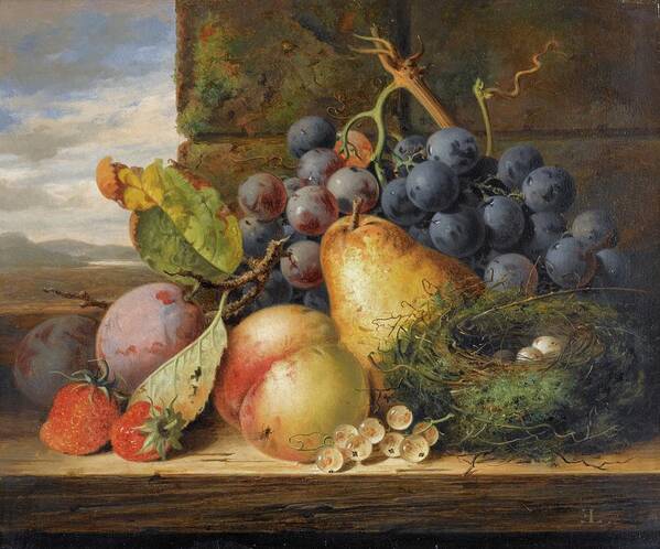 Still Life Art Print featuring the painting Still Life With A Birds Nest, A Pear, A Peach, Grapes by Edward Ladell