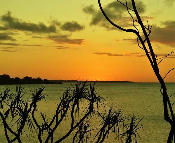 Water View Art Print featuring the photograph Sunset Yellow by Joan Stratton