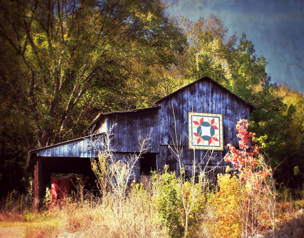 Barn Art Print featuring the photograph The Fall Quilt by Julie Hamilton