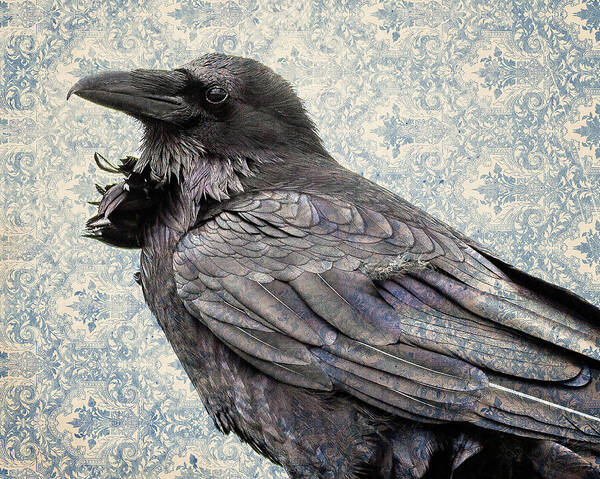 Raven Art Print featuring the photograph The Messenger by Mary Hone