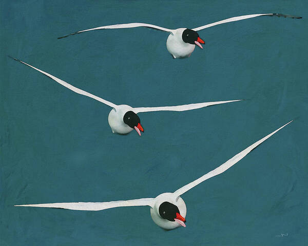 Animal Art Print featuring the digital art Three Floating Black Headed Gulls by Jan Keteleer