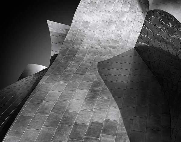 Disney Concert Hall Art Print featuring the photograph Titanium Shapes by Helena Garca