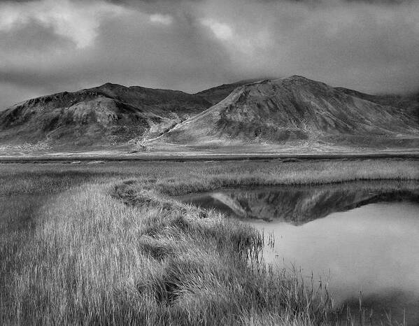 Disk1215 Art Print featuring the photograph Tombstone Territorial Park Yukon by Tim Fitzharris