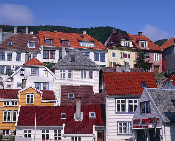 Scenics Art Print featuring the photograph Typical House, Bergen, Norway by P A Thompson