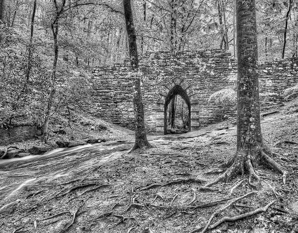 Poinsett Art Print featuring the photograph View of the Poinsett Bridge by Blaine Owens