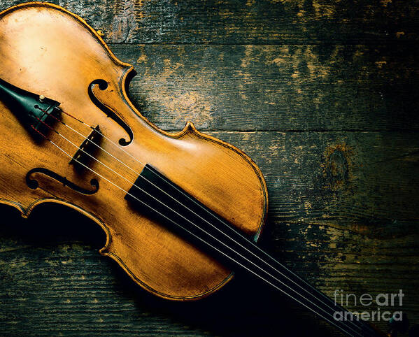 Violin Art Print featuring the photograph Violin on textured background by Jelena Jovanovic