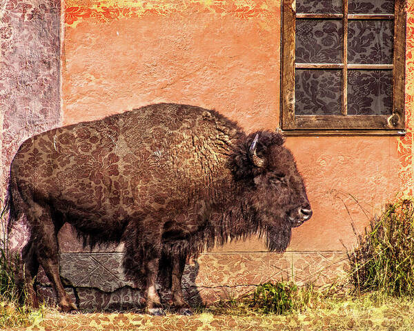 Wildlife Art Print featuring the photograph Wallpaper Bison by Mary Hone