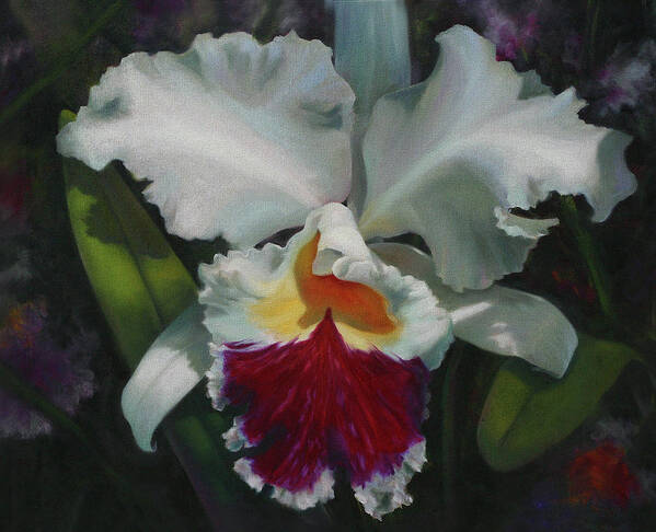 Florals Art Print featuring the painting White Orchid by Lynne Pittard