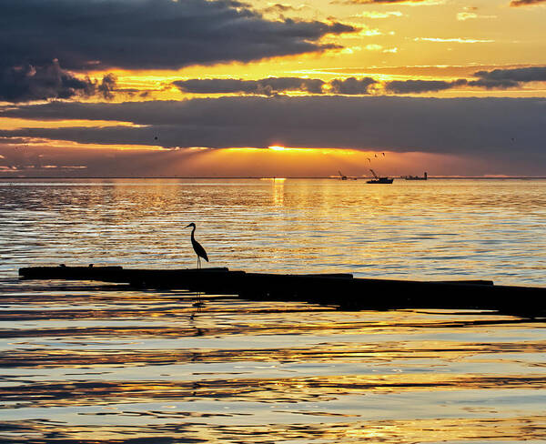 Sunrise Art Print featuring the photograph Workboats and Shorebirds by Ty Husak