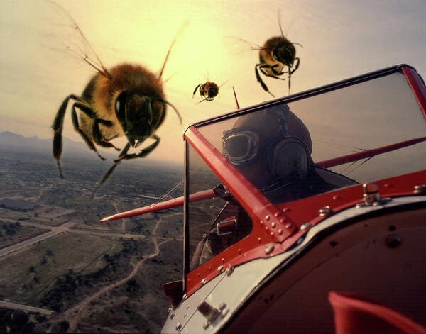 Fantasy Art Print featuring the photograph Bee Attack 2 by Jim Painter