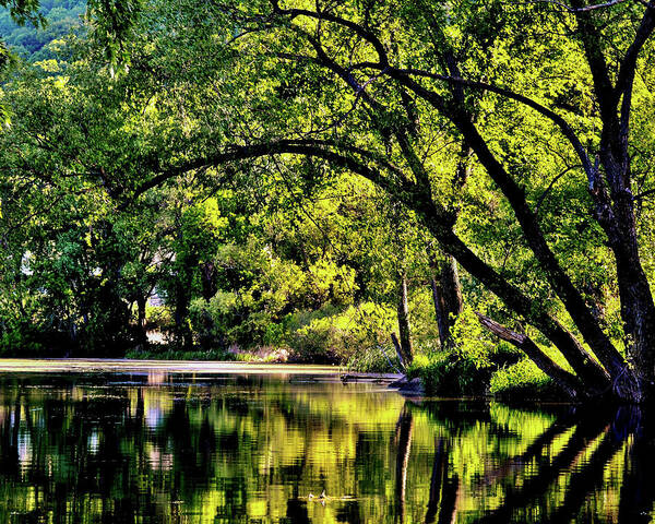 Lake Winona Art Print featuring the photograph Happy Place #1 by Susie Loechler