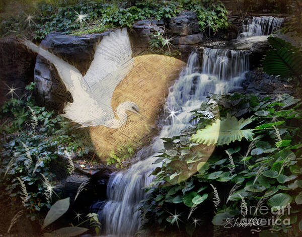 Sharaabel Art Print featuring the photograph Harmony in Nature by Shara Abel