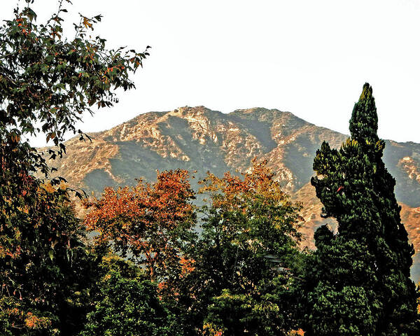 Mountain Art Print featuring the photograph Verdugo Evening #1 by Andrew Lawrence