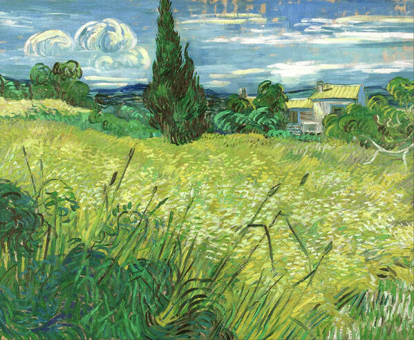 Vincent Van Gogh Art Print featuring the painting Green Field #14 by Vincent Van Gogh