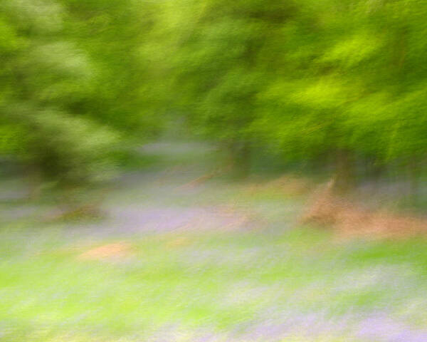 Woods Art Print featuring the photograph Always Moving by Stephen Taylor
