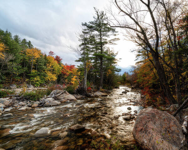 New Art Print featuring the photograph An Afternoon on the Pemigewasset by William Dickman