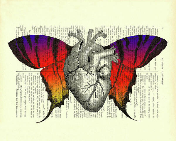 Heart Art Print featuring the digital art Anatomy Butterfly Heart by Madame Memento